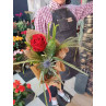 Rose with garnish - suwalki florist - Bouquets