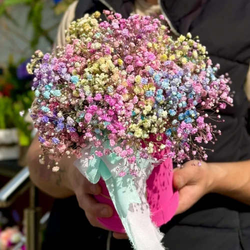 flower box kolorowy sen z samej gipsowki