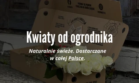kwiaty prosto od ogrodnika rozany zakatek kwiaciarnia suwalki.webp