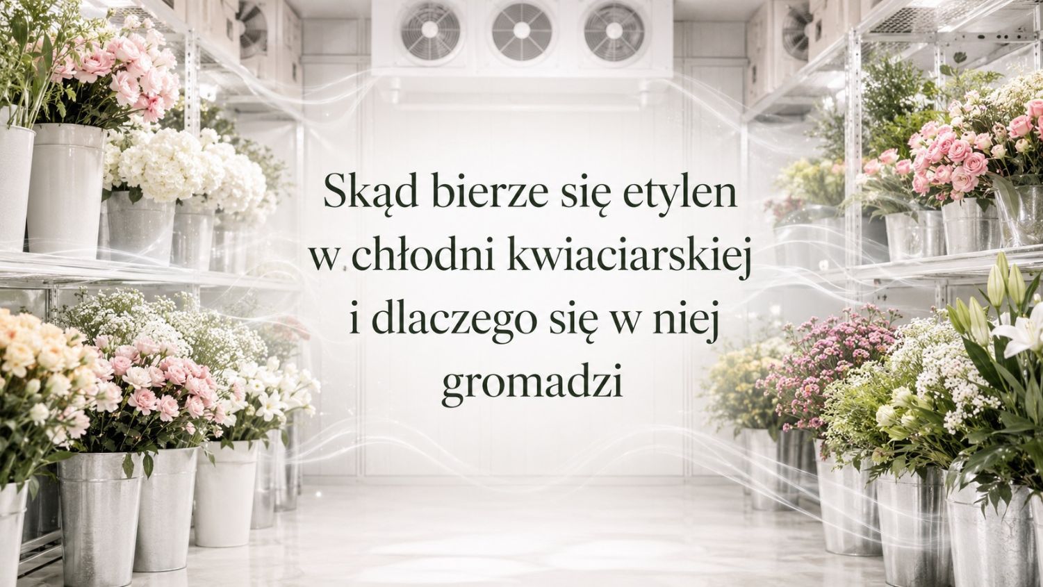 Etylen w chłodni: skąd się bierze i dlaczego się gromadzi